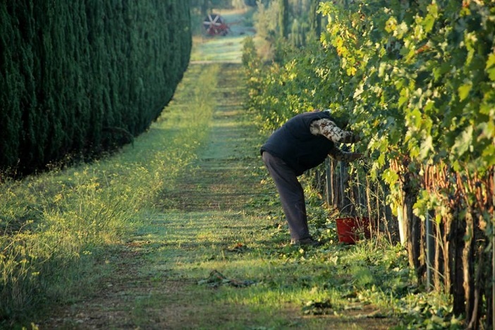 Agriturismo na Toscana - Italiana Blog