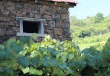 7 passeios imperdíveis pelos Caminhos de Pedra de Bento Gonçalves Caminhos de Pedra, Bento Gonçalves