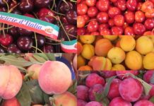 Os vibrantes mercados de Palermo