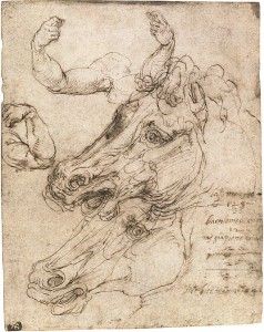 O cavalo ideal de Leonardo da Vinci: desenho descoberto na França -  italiani.it