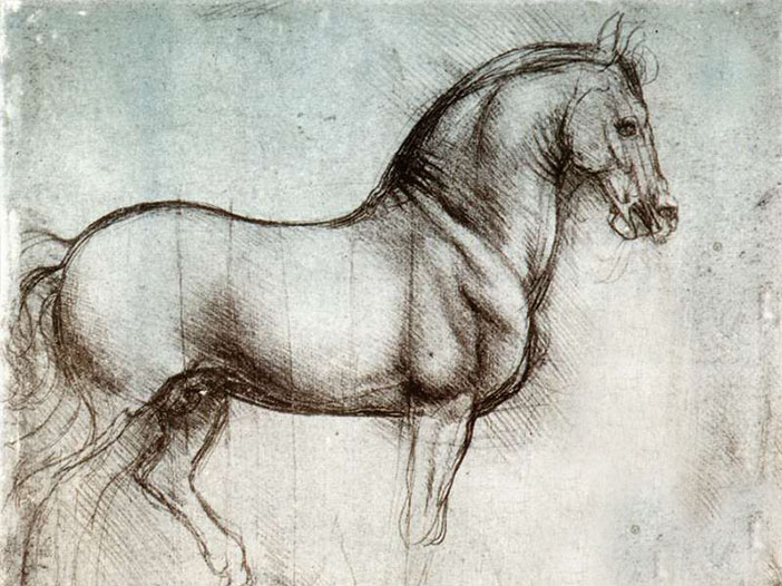 O cavalo ideal de Leonardo da Vinci: desenho descoberto na França -  italiani.it