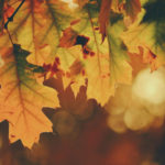 Mala perfeita para o outono na Itália