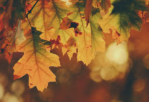 Mala perfeita para o outono na Itália